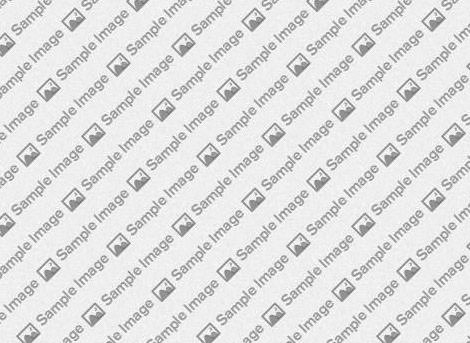 Bring attention to important numbers with Grid Statistic.